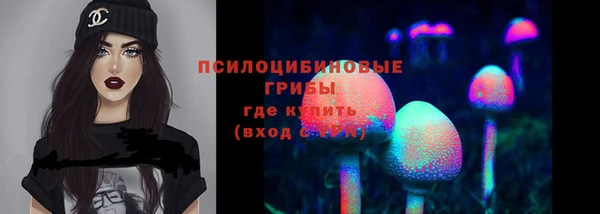 хмурый Богородицк