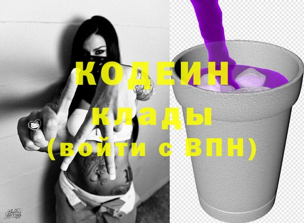 хмурый Богородицк