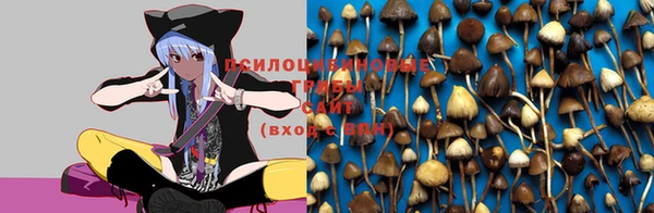 прущая мука Богданович