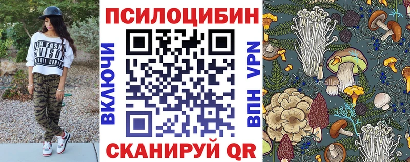 Псилоцибиновые грибы MAGIC MUSHROOMS  цены наркотик  Волжский 